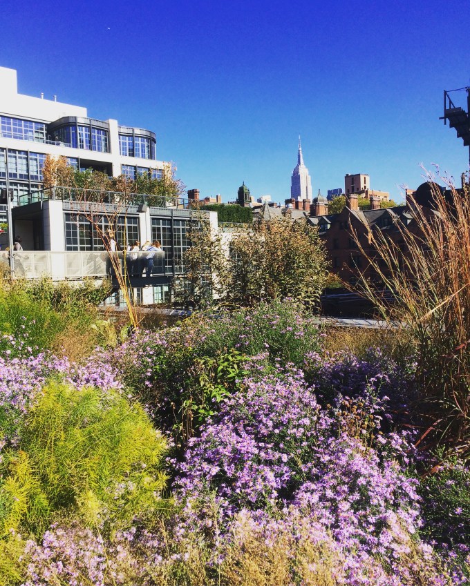 High Line NYC cityscape.jpg