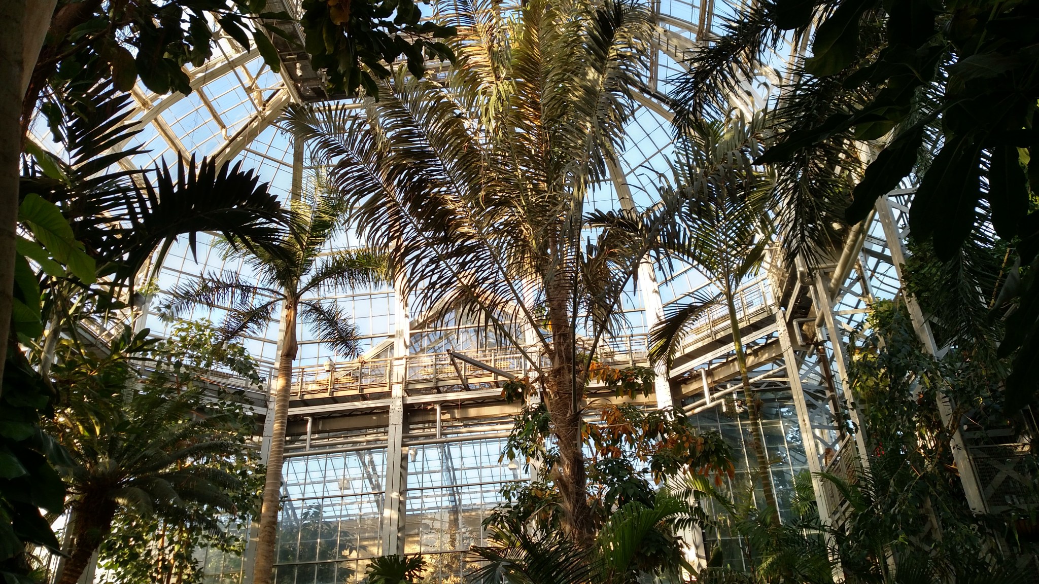 IMG_20180114_155147670_HDR