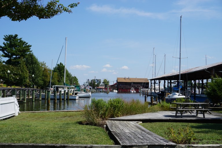 281C4EA3-EF5F-4199-BB9A-70961687D877